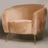 Champagne Velvet Barrel Accent Chair with Brass Tapered Legs