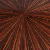 Orbit Round Coffee Table in Macassar Ebony & Brushed Steel