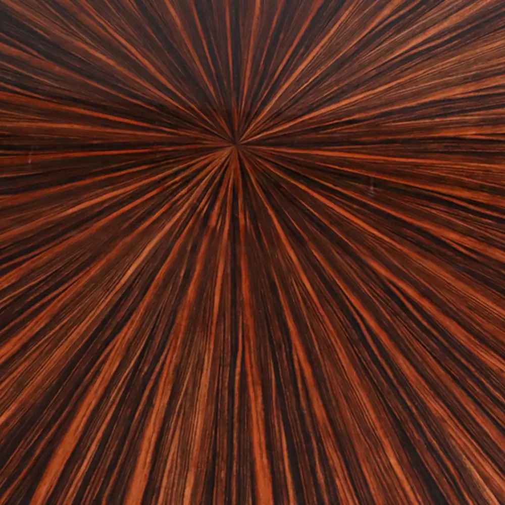 Orbit Round Coffee Table in Macassar Ebony & Brushed Steel